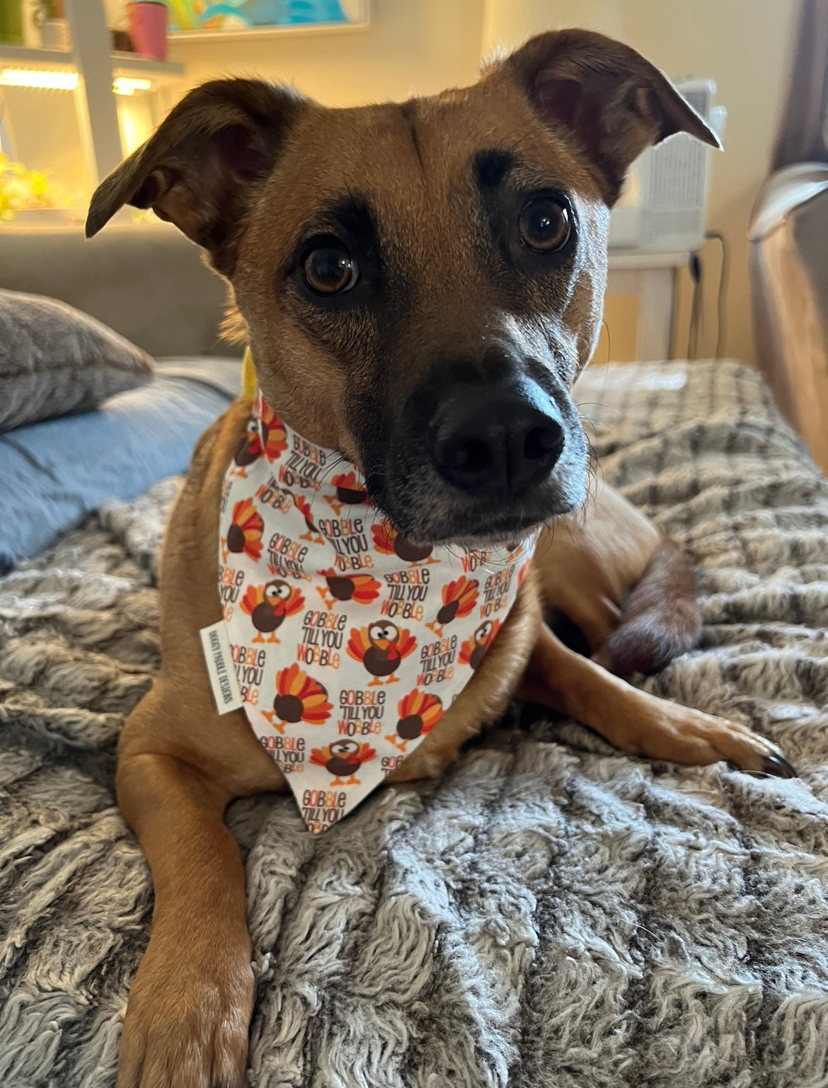 Gobble Till You Wobble Pet Bandana | Turkey Taster