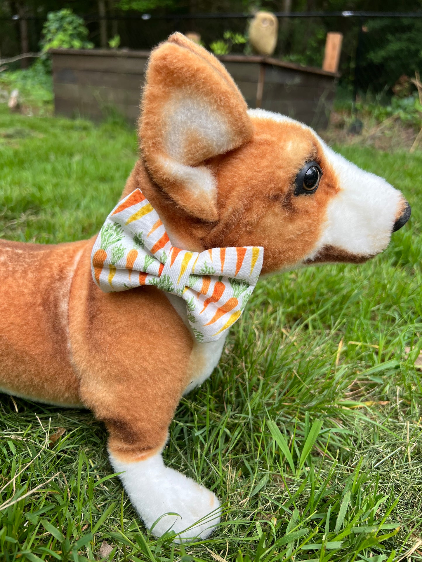 Carrot Bow Tie