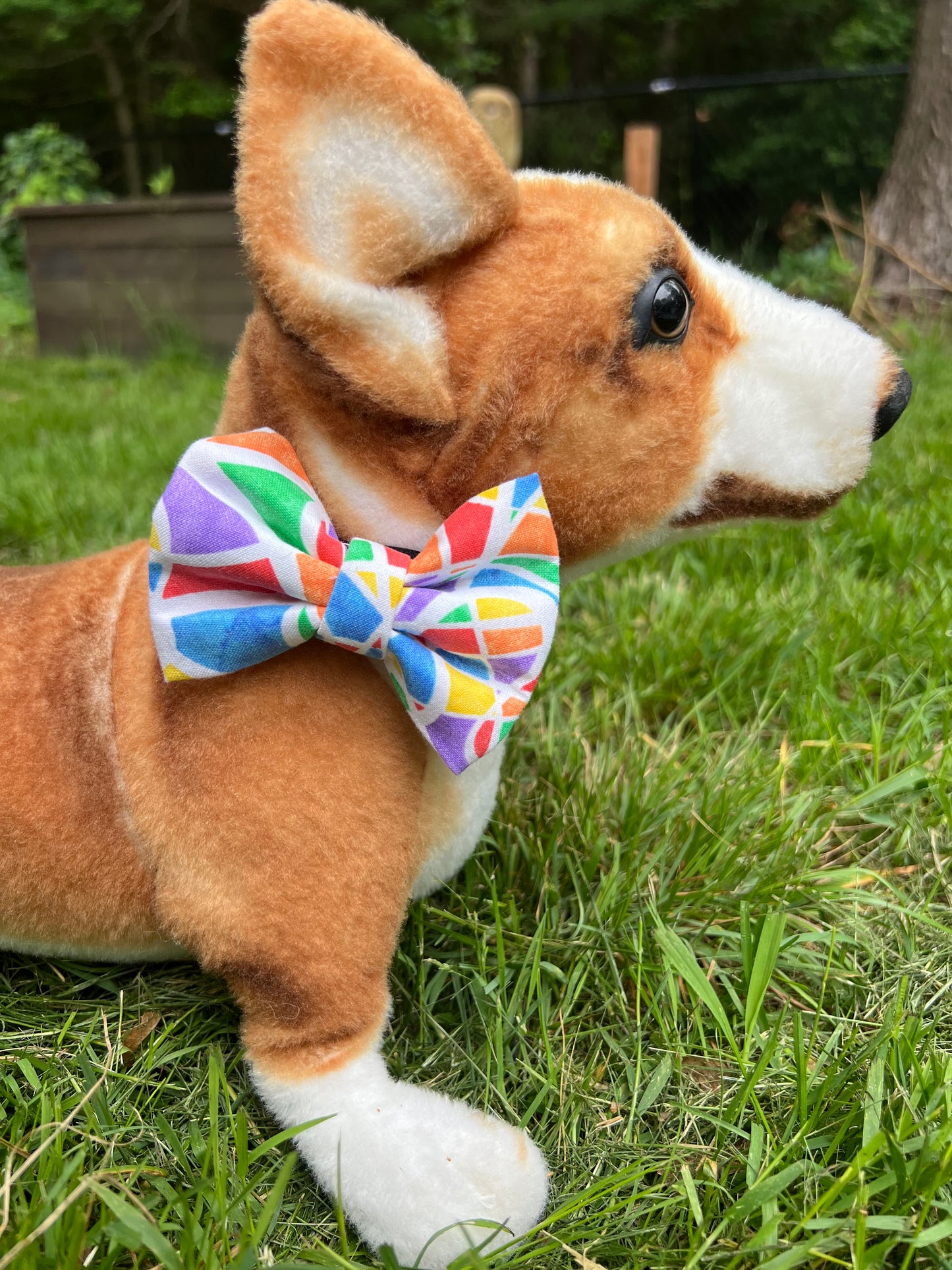 Abstract Rainbow Bow Tie