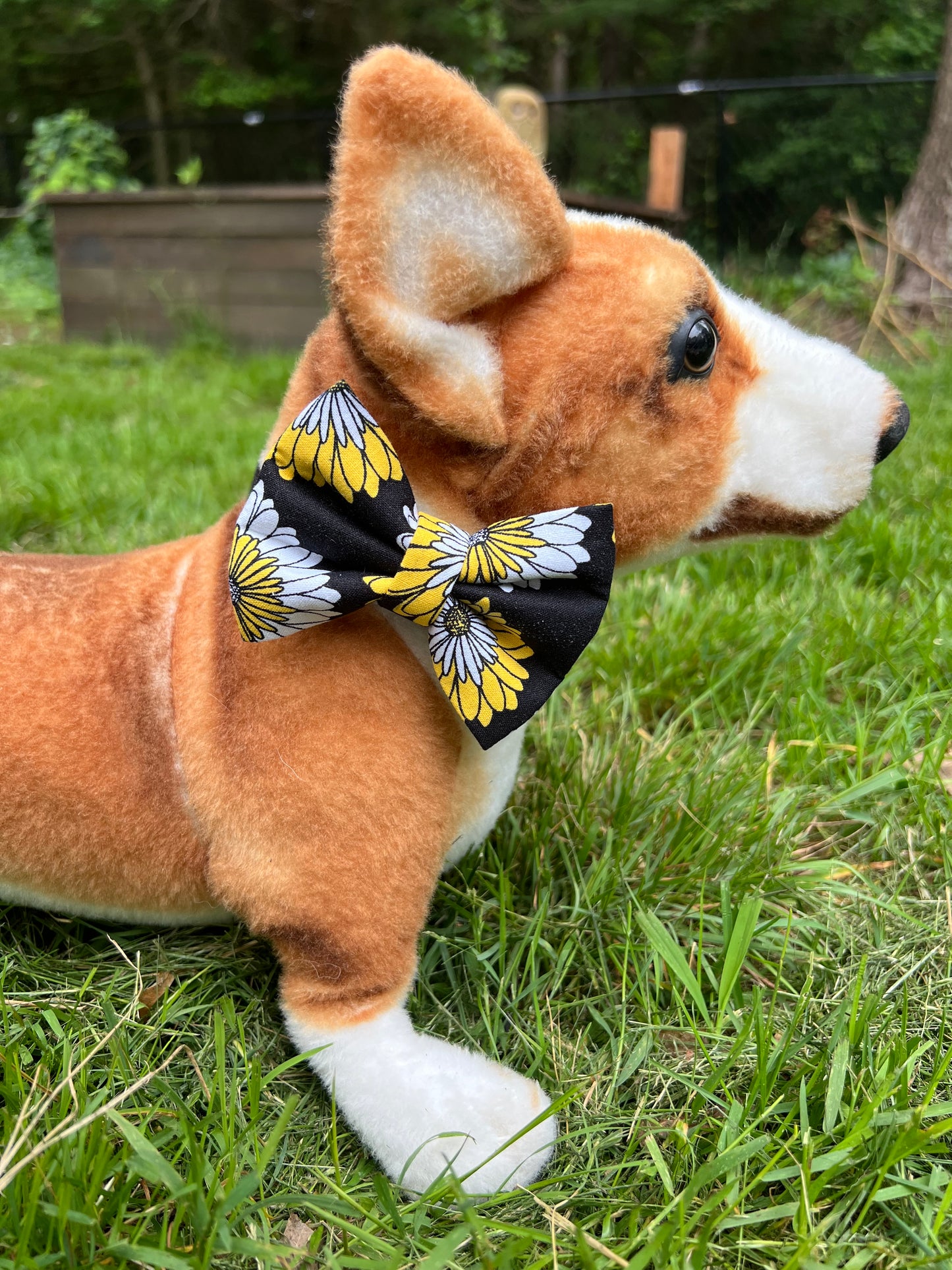 Black Eyed Susan Bow Tie