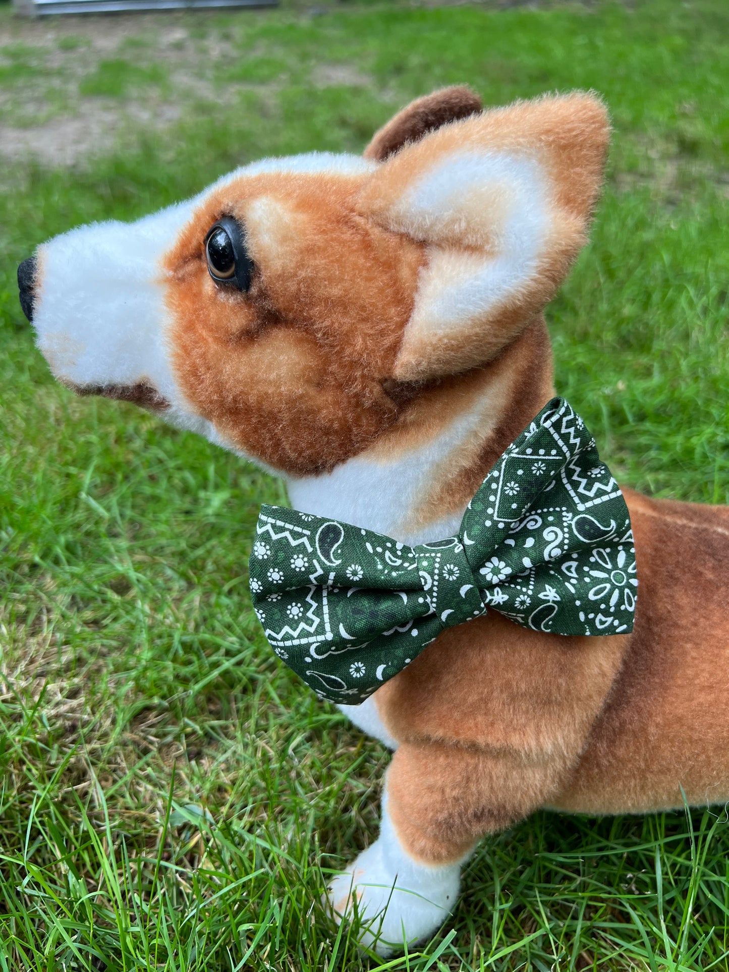 Green Paisley Bow Tie