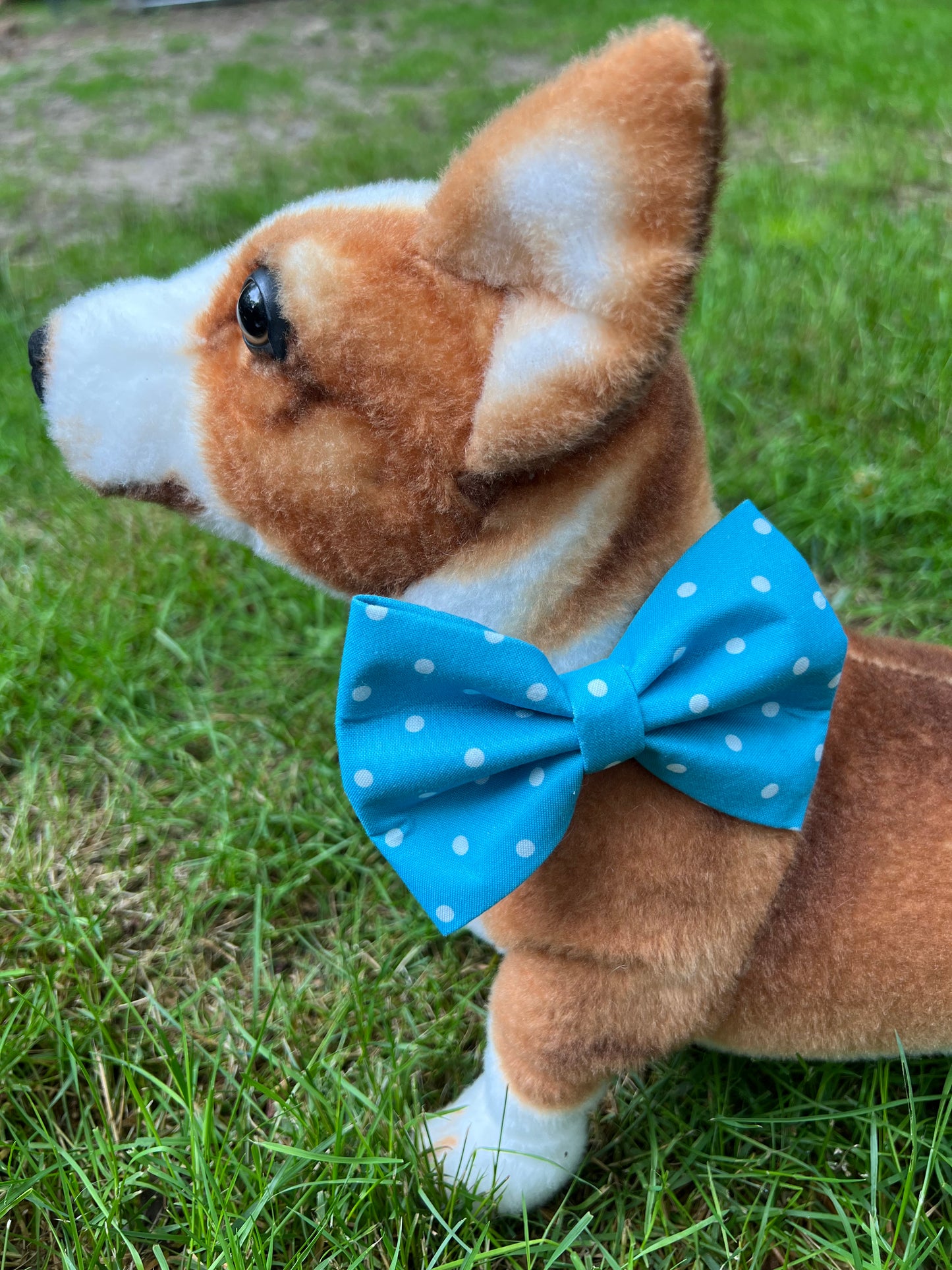 Blue Polka Dot Bow Tie