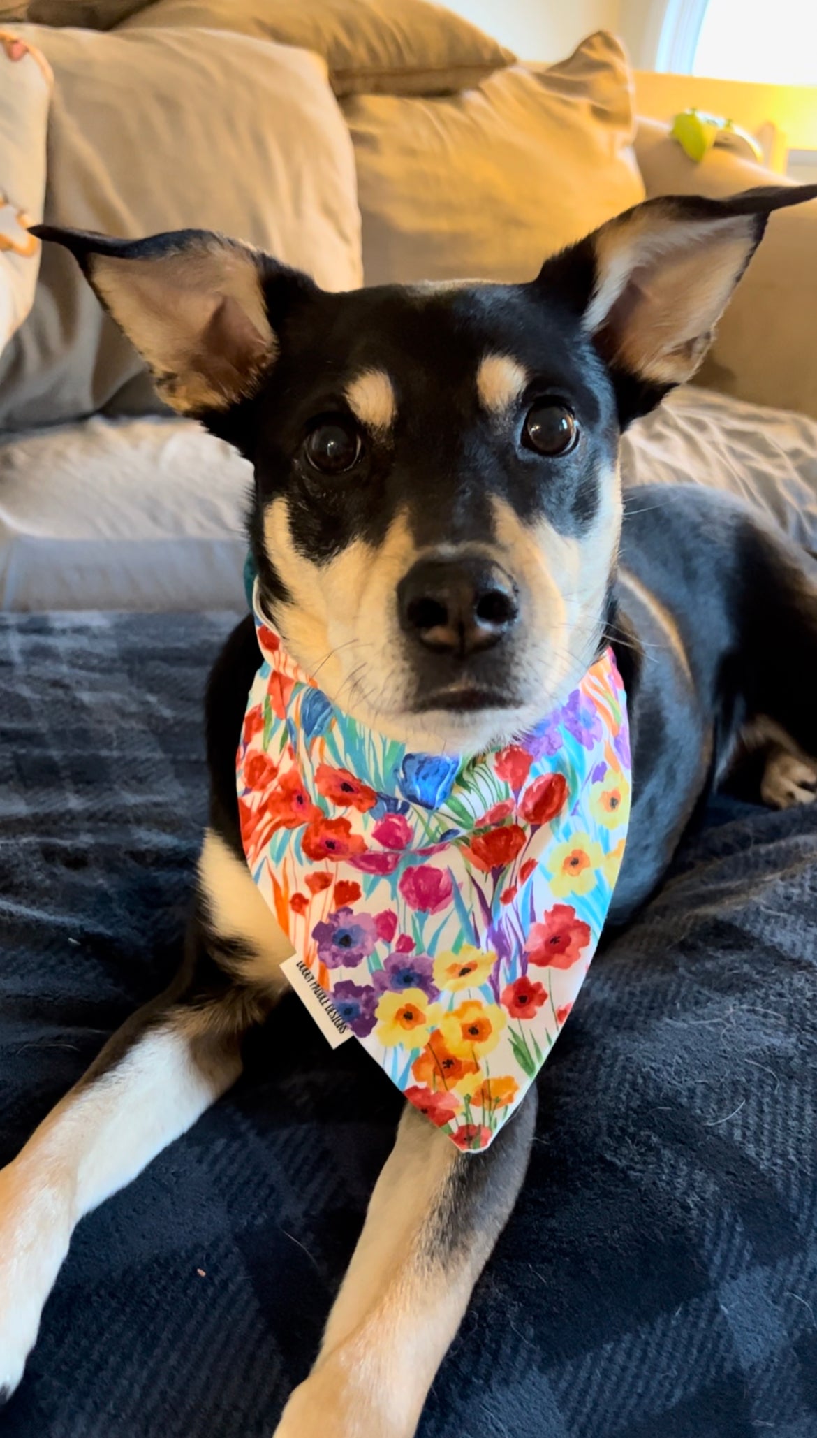 Watercolor Floral Bandana | Yellow Plaid