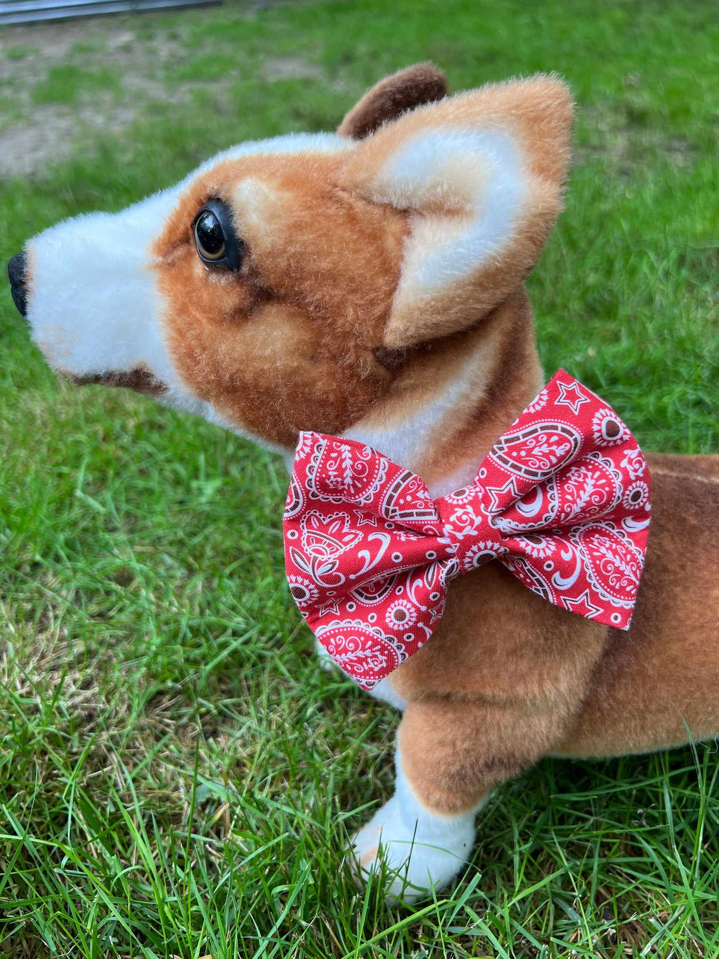Red Paisley Bow Tie