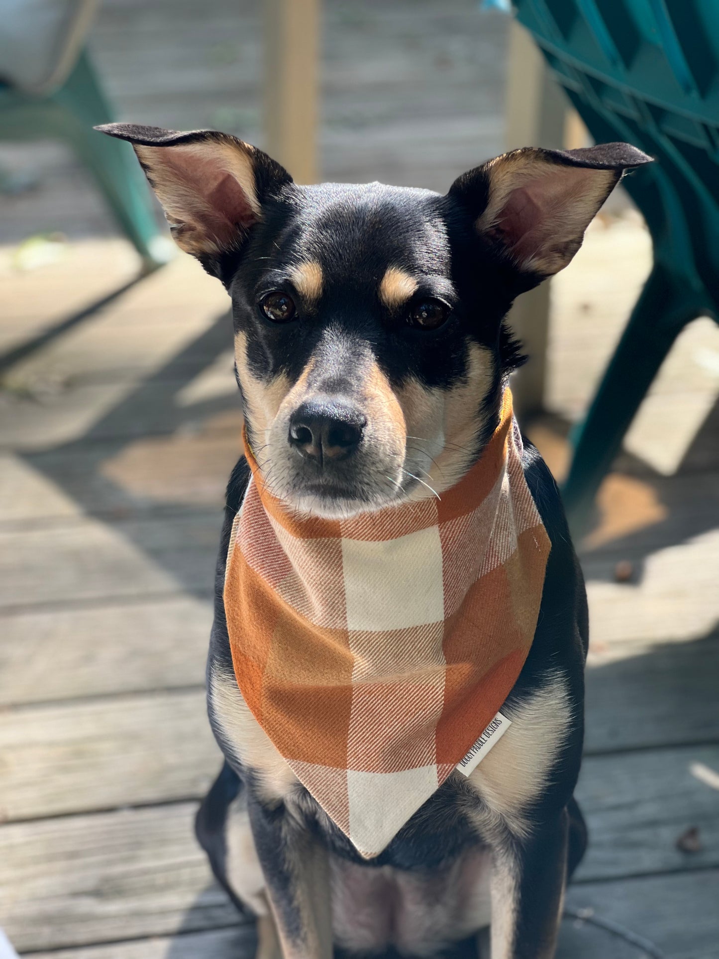 Sunflower Pet Bandana | Fall Plaid