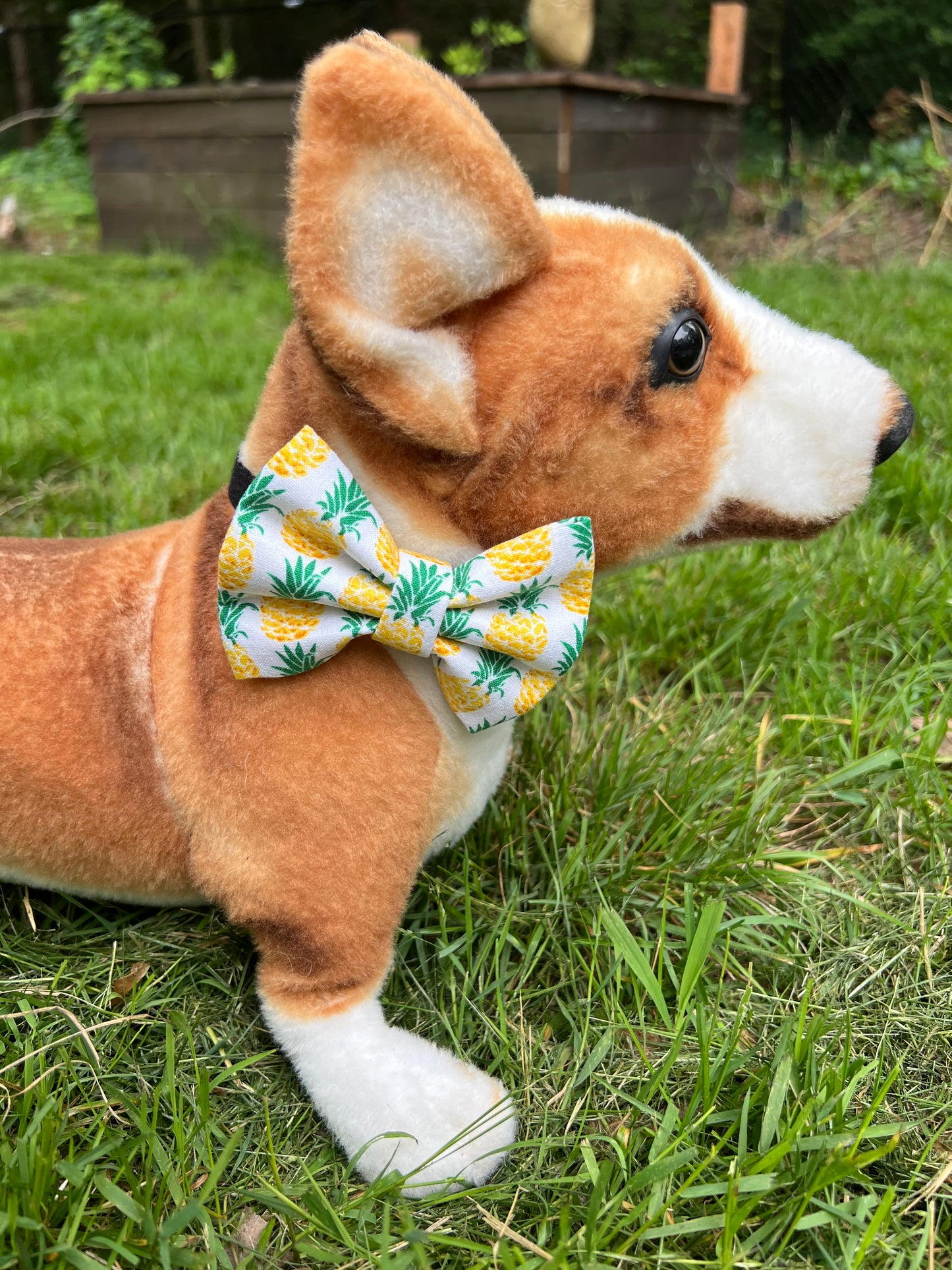 Pineapple Bow Tie