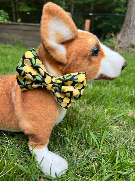 Lemon Bow Tie