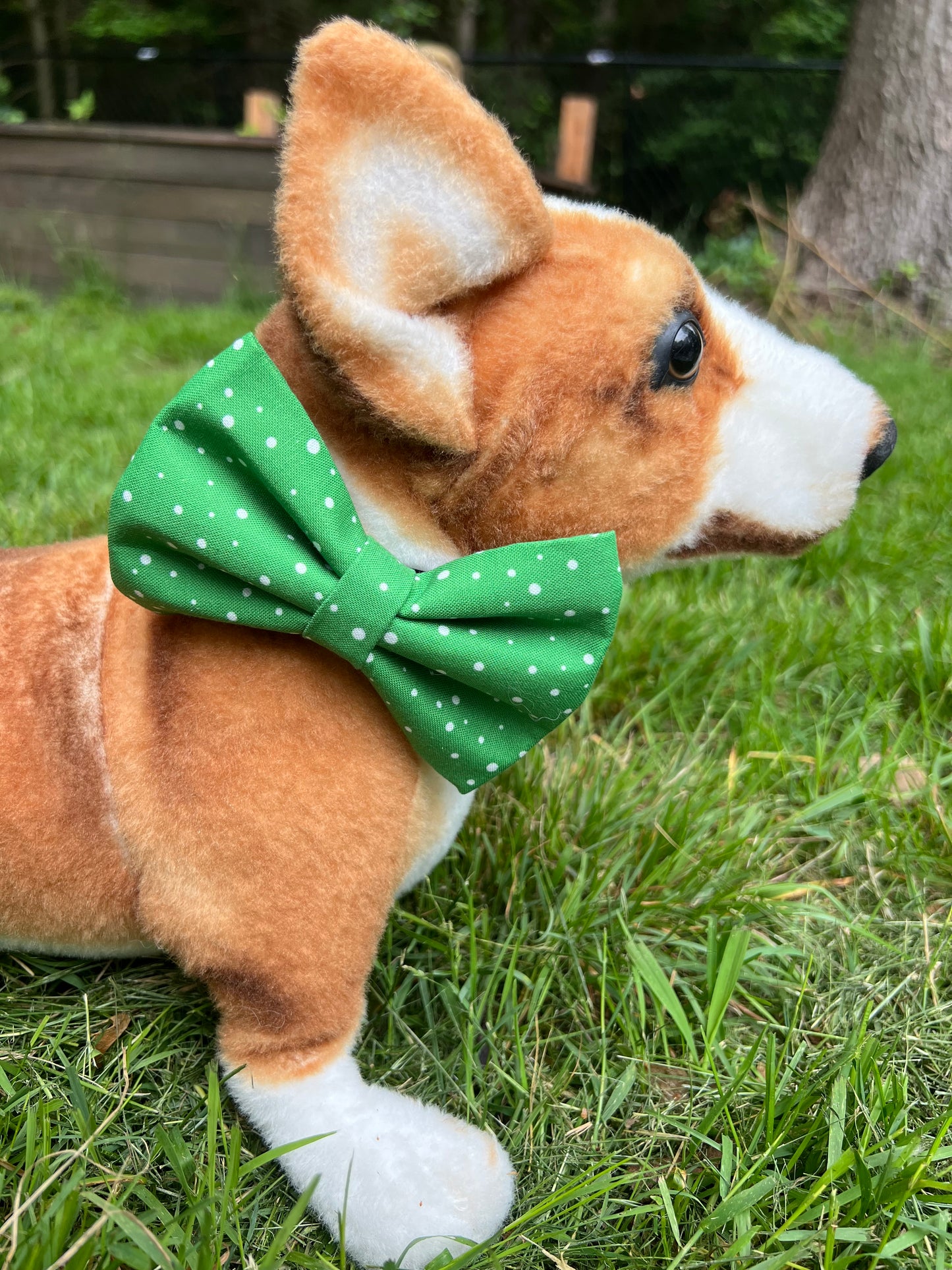 Green Polka Dot Bow Tie