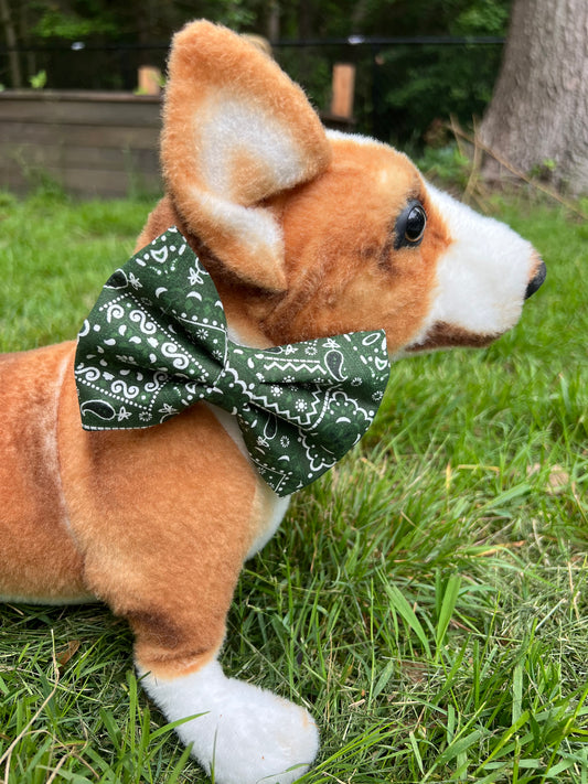 Dark Green Paisley Bow Tie