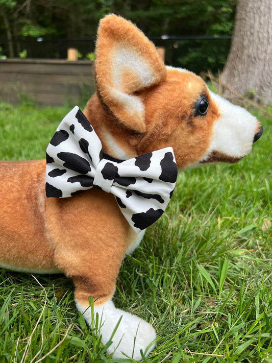 Cow Bow Tie