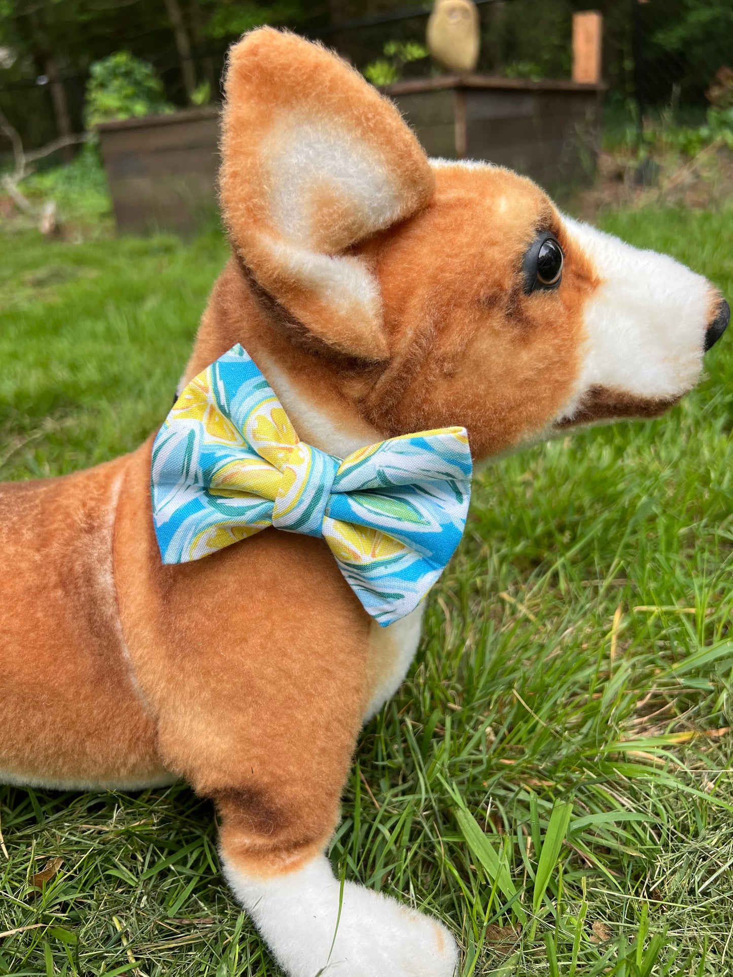 Summer Lemon Bow Tie