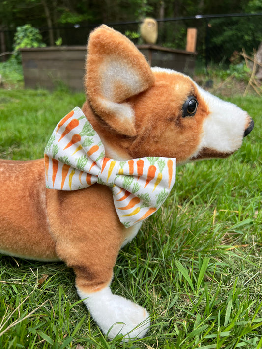 Carrot Bow Tie