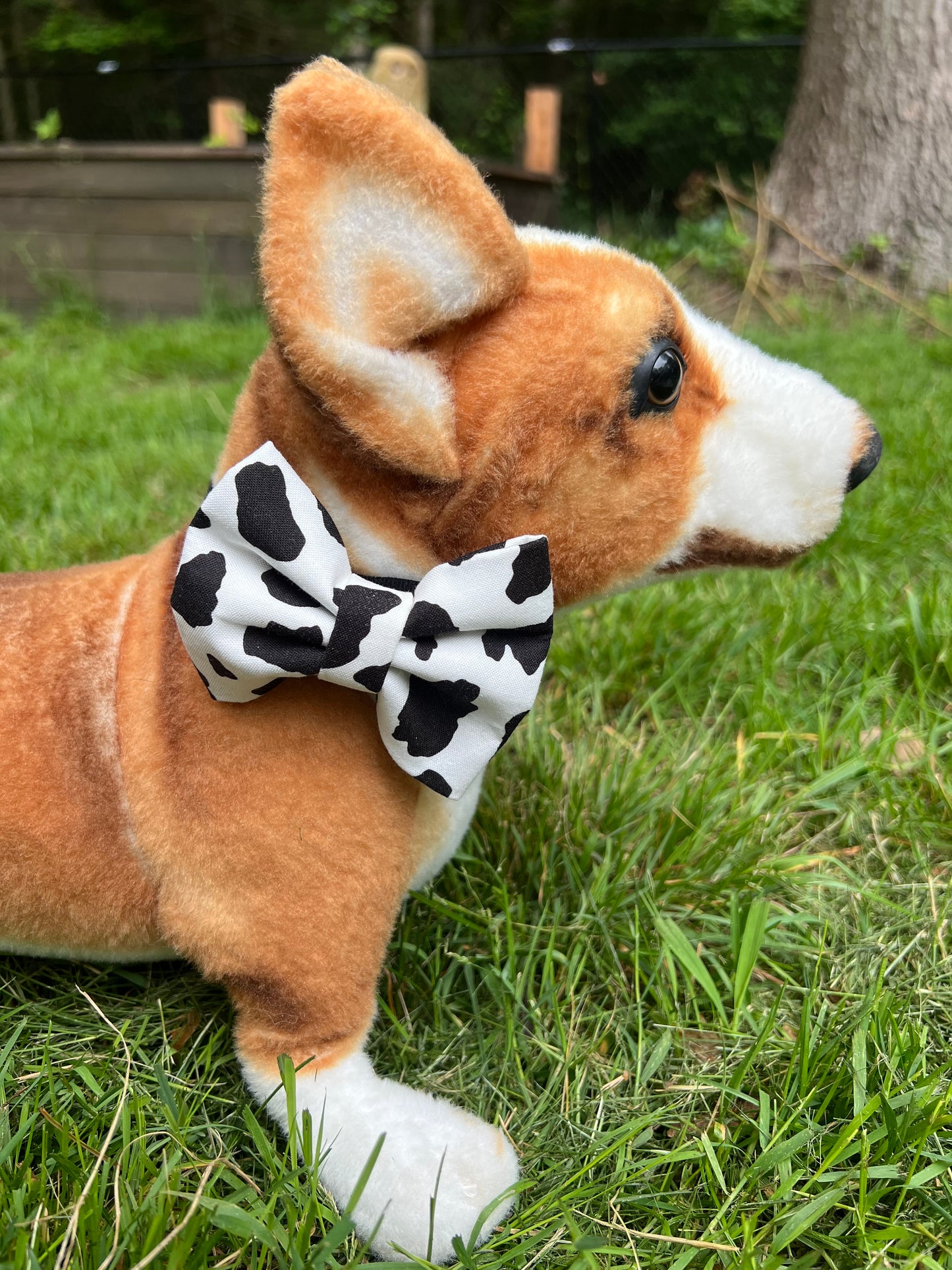 Cow Bow Tie