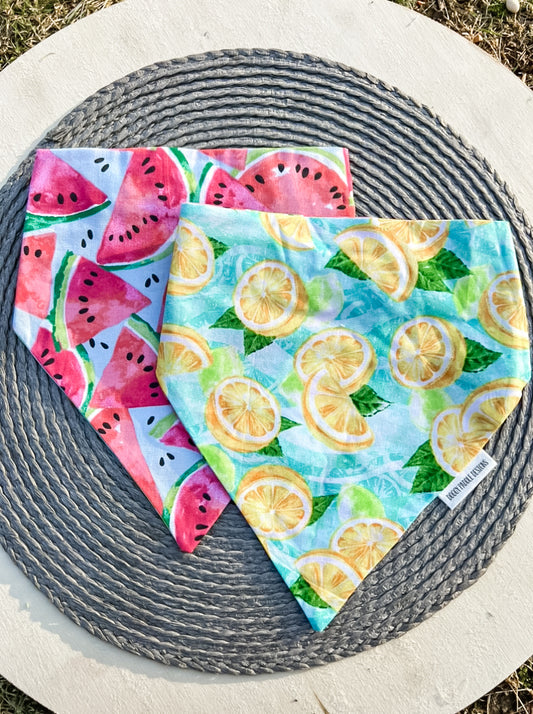 Watermelon Lemon Pet Bandana