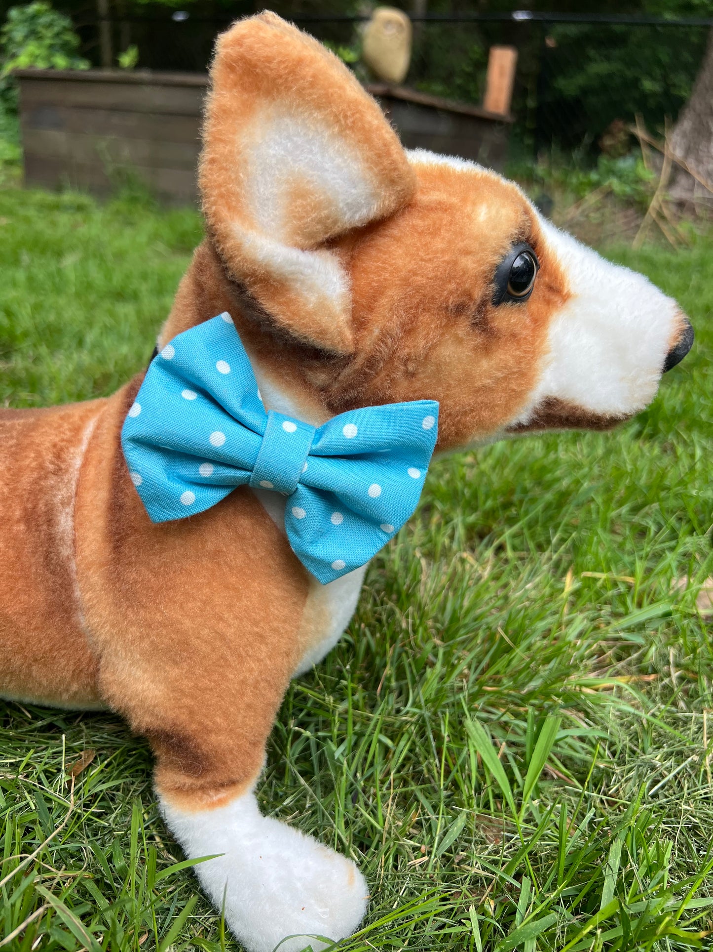 Blue Polka Dot Bow Tie