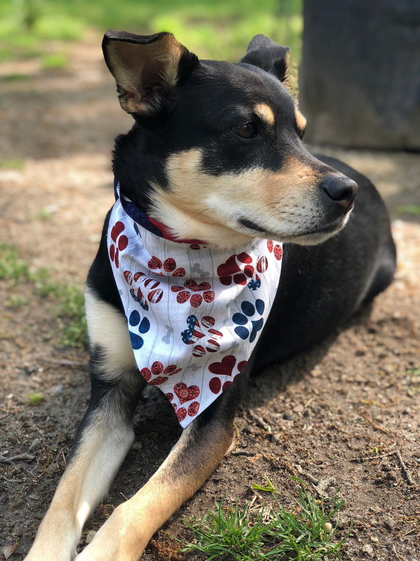 Patriotic Pet Bandana | Paw Print