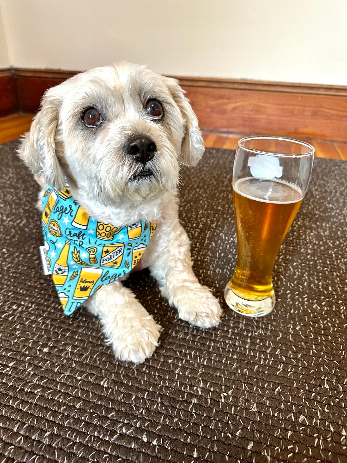 Beer Bandana