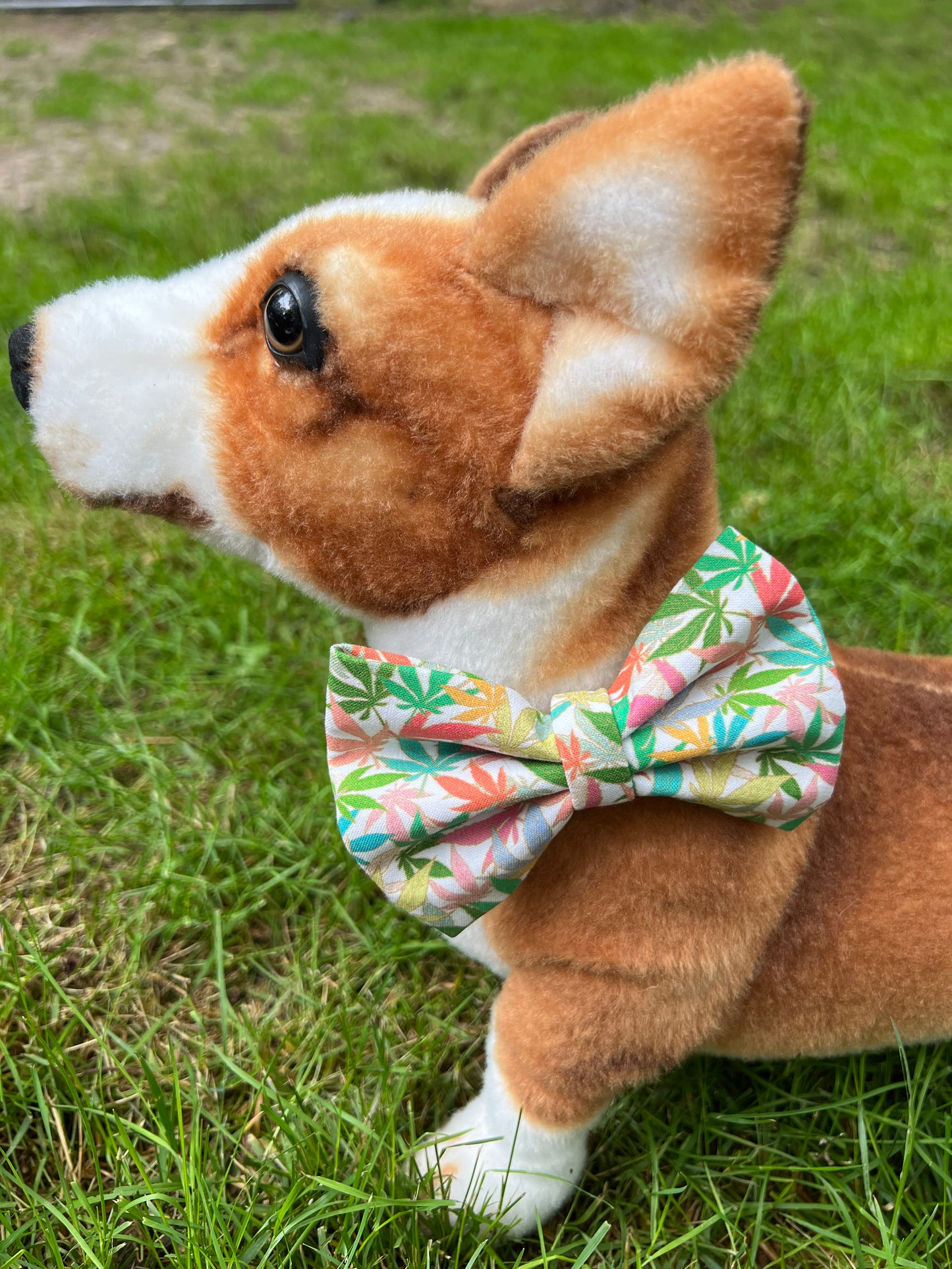 Best Budz Bow Tie