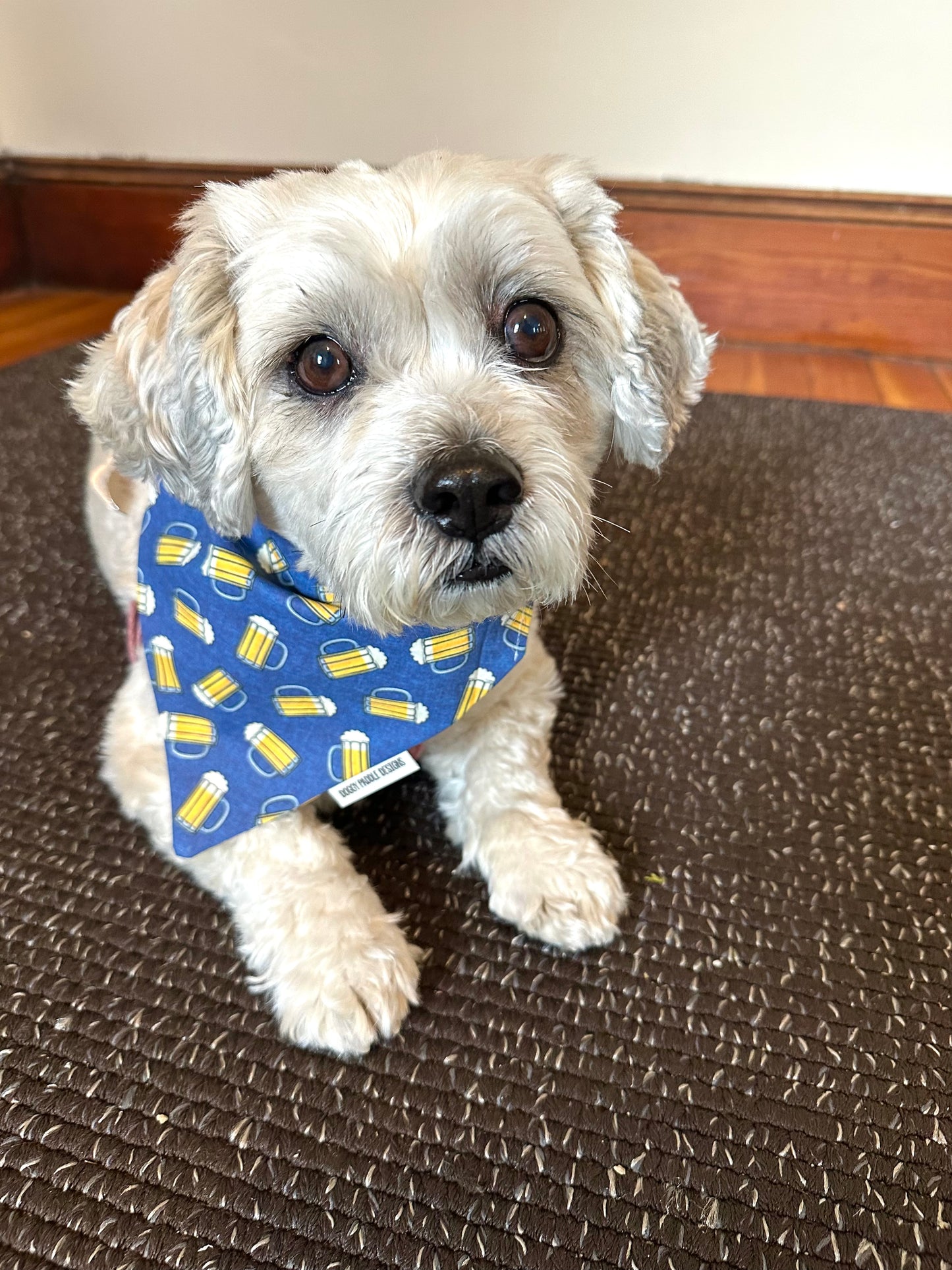 Beer Bandana