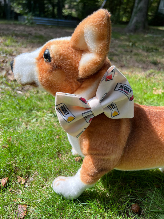 Drooly Bow Tie