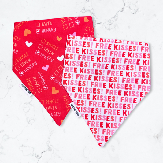 Valentine’s Pet Bandana | Free Kisses